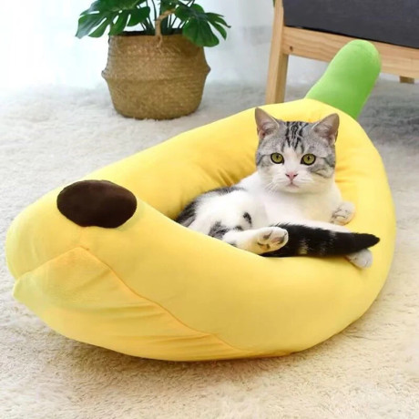 banana-bed-big-0