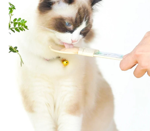 cat-feeding-spoon-big-0