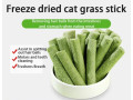 cat-grass-teething-sticks-small-0