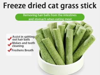 cat-grass-teething-sticks