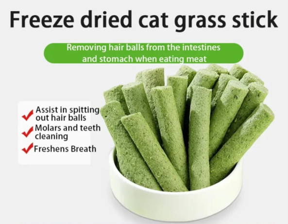 cat-grass-teething-sticks-big-0