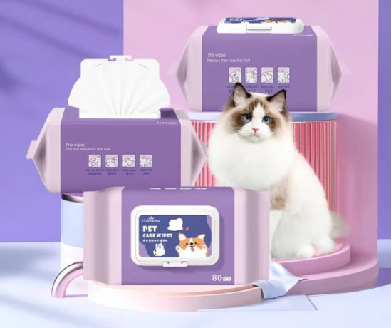 pet-friendly-wipes-big-0