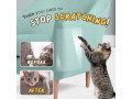 cat-scratch-proof-tape-small-1