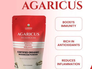 agaricus-mushroom-unlock-7x-immune-power-and-vitality-with-natures-super-mushroom-100-gram