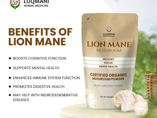 lion-mane-mushroom-experience-7-transformative-benefits-for-unstoppable-brain-power-and-vitality-100gram-pack-delivery-available-all-uae