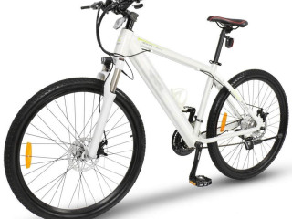 electric-bike