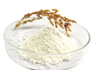 natural-rice-bran-extract-ceramide-powder