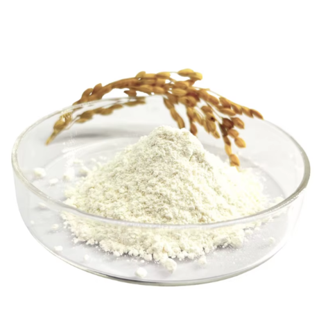 natural-rice-bran-extract-ceramide-powder-big-0